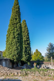 <center>Rochecolombe</center>Les cyprès du cimetière.