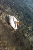 Goudargues. <br>