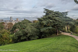 <center>Le parc des Buttes-Chaumont  </center> Le cèdre du Liban est une essence originaire du Moyen-Orient appartenant à la famille des Pinacées.
Hauteur : 15 m Circonférence : 370 cm
Ce cèdre, planté en 1880, imposant par sa taille et l’envergure de ses longues branches horizontales surplombe le parc des Buttes-Chaumont. Introduit en France en 1734, le cèdre est présent dans les parcs parisiens où il trouve l’espace suffisant pour se développer.