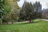 <center>Le parc des Buttes-Chaumont  </center>