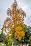 <center>Les serres d'Auteuil. </center>