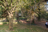 <center>Le parc Georges-Brassens. </center>