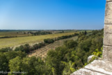 <center>Vue de basse-cour</center>La vue panoramique offre au regard plusieurs éléments : les marais, le plateau de la Crau, la chaîne des Alpilles (492 mètres) et le mont de Cordes (65 mètres) abritant un hypogée ou tombe collective, daté de 4000 ans. Les anciennes terrasses sont plantées d'oliviers, de micocouliers et de pins d'Alep. Lors de son séjour à Arles de 1888 à 1889, Vincent Van Gogh dessina plusieurs motifs à partir de Montmajour : la Crau, les rochers, les oliviers, les pins, 'les vestiges de l'abbaye, le train de Fontvieille