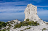 <center>Rocher des Goudes</center>