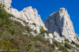 <center>Les Lames</center>