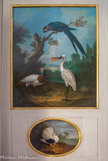 <center>Les petits Appartements. </center>