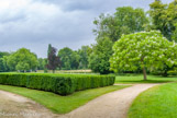 <center>Le château de Chantilly. </center> Le parc.