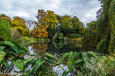<center>Parc de Bagatelle. </center> Pièce d'eau des nymphéas.