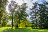 <center>Parc de Bagatelle. </center> L'art du jardin vivait alors de profonds changements, en réaction à l'extrême rigorisme des jardins à la française du 17e siècle. On inventait des paysages théâtraux inspirés des peintures oniriques de Nicolas Poussin ou du Lorrain. Les commerçants, ou les missionnaires jésuites qui revenaient de Chine, rapportaient des images de pagodes chinoises, que l'on voulait immédiatement retrouver dans son jardin.