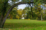 <center>Parc de Bagatelle. </center>