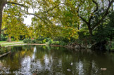 <center>Parc de Bagatelle. </center> Pièce d'eau des oies du Magellan.