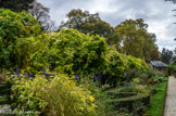 <center>Parc de Bagatelle. </center> C'est dans le Jardin des Présentateurs que, depuis Forestier, l'on présente les nouvelles variétés de plantes vivaces ou annuelles. Son style est inspiré des jardins de la Renaissance.