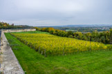 <center>Saint-Germain-en-Laye. </center> La vigne et les grandes terrasses.