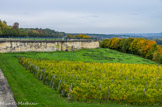 <center>Saint-Germain-en-Laye. </center> La vigne et la « demi-lune ».