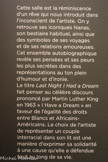 <center>Last Night I Had a Dream</center>Le titre Last Night I Had a Dream fait penser au célèbre discours prononcé par Martin Luther King en 1963 « I Have a Dream » en faveur de l’égalité des droits entre Blancs et Africains- Américains.