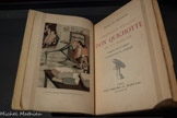<center>L’Ingénieux Hidalgo don Quichotte de la Manche</center>Cervantès. Traduction en français par Louis Viardot. Ill. Albert Dubout.
Ed. À l'emblème du secrétaire: Paris, 1938.
Collection cervantine José Manuel Lucia Megias. Madrid. Espagne
