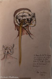 <center>Étude de coiffure de femme italienne</center>Guillaume Bodinier (France, 1796-1872).
1842, Gaète, région du Latium, Italie Aquarelle et crayon noir sur papier (fac-similé)
Collections des musées d’Angers
