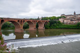 <center>Albi</center>Clocher du couvent des Dominicains à gauche et celui du collège des Jésuites à droite.