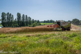 <center>Montalibord </center>Cette ferme bressane est une exploitation toujours en activité.