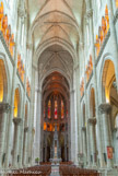 <center>Basilique St Nicolas. </center>  En se plaçant sous le porche sud, on pourra apprécier l'envolée de la grande nef et de l'autel monumental. Le vaisseau, avec les doubles collatéraux, comporte 5 travées.