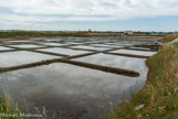 <center>Guérande. </center> Les Fares. La saline comprend trois types de compartiments. Les 