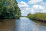 <center>La Brière. </center> Le marais.