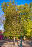 <center>Parc de Blossac </center>