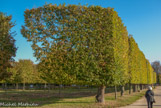 <center>Parc de Blossac </center>