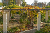 <center>Parc de Blossac </center> Jardin d'ombres.