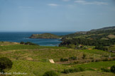 <center>La baie de Paulilles</center>