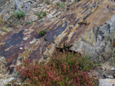 <center>Le cap de Creus.</center>