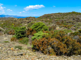 <center>Le cap de Creus.</center>