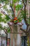 <center>Perpignan</center>