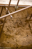 <center>Tautavel.</center>Chantier des fouilles. Ossements.