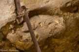 <center>Tautavel.</center>Chantier des fouilles. Tête d'ours.