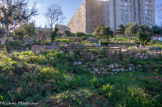 <center>Saint-Marcel.</center>Jardins partagés au pied de la cité Néréides. Des jardins au cœur des cités pour recréer du lien entre les habitants et les sensibiliser à l’environnement, c’est l’idée mise en pratique dès 2005 par l’Atelier marseillais d’initiatives en écologie urbaine (Amieu).
