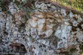 <center>Châteaurenard</center>Nodules de silex cérébroïdes que l’on trouve dans la roche calcaire.