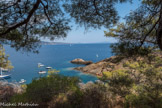 <center></center><center>  L'île Verte. Calanque Seynerolles. </center>La plage de la Seynerolles dans la calanque située la plus au sud de l'île.