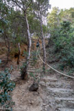 <center>Parc du Mugel.</center>Le chemin qui nous mène jusqu’au grand belvédère situé à 82 mètres au dessus de la mer.