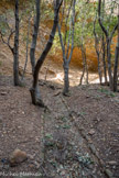 <center>Parc du Mugel.</center>Une calade.