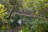 <center>Parc du Mugel.</center>Le bassin.