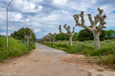 <center>La cité des Bormettes.</center>La route de l'usine et ses platanes, qui ont remplacés les petits palmiers vers 2017, actuelle avenue Schneider.