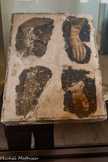 <center>Le Consistoire.</center>FRAGMENTS DE FRESQUE DE LA TOUR SAINT-JEAN. XIVe siècle.
Fresque, panneau : H. 35,5 ; L. 46 cm. Ces fragments qui font probablement partie d’une même figure sainte, proviennent certainement de la chapelle Saint-Jean, vandalisée à l'époque où le palais fut transformé en caserne (XIXe siècle). Dépôt Fondation Calvet achat 1877.
